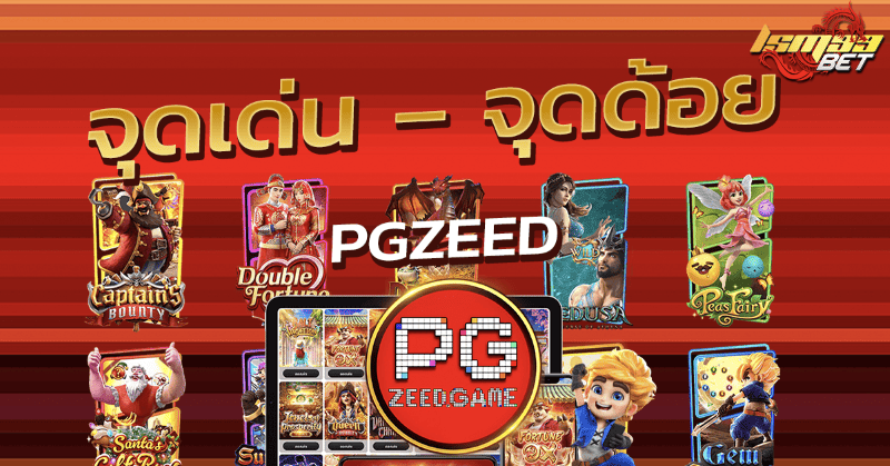 จุดเด่น – จุดด้อยของ Pgzeed