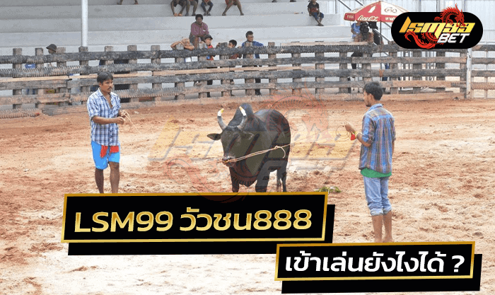 วัวชน888