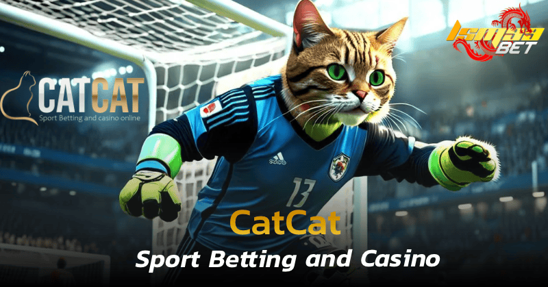 catcat Sport Betting and Casino